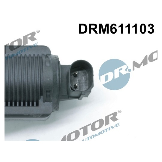 DRM611103 - EGR Valve 