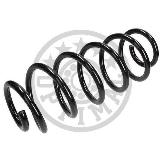 AF-1139 - Coil Spring 