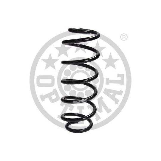 AF-1138 - Coil Spring 