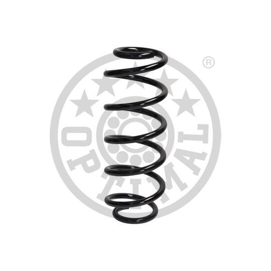 AF-1139 - Coil Spring 