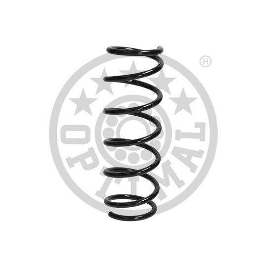 AF-1643 - Coil Spring 