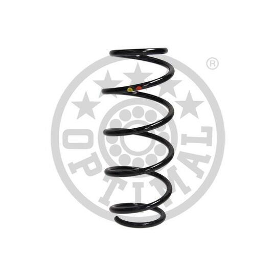 AF-4807 - Coil Spring 