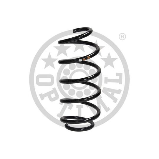 AF-4796 - Coil Spring 