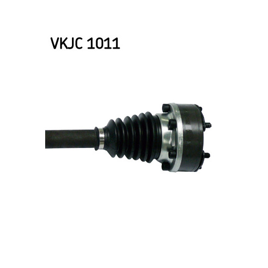 VKJC 1011 - Veovõll 