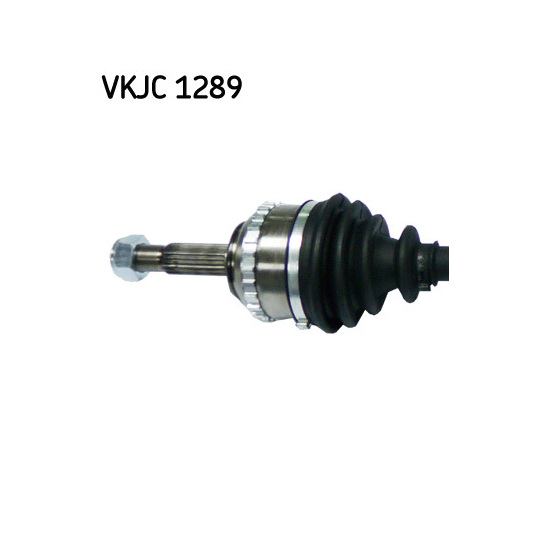 VKJC 1289 - Vetoakseli 