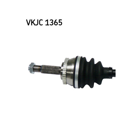 VKJC 1365 - Vetoakseli 