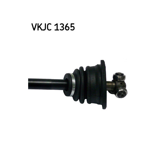 VKJC 1365 - Vetoakseli 