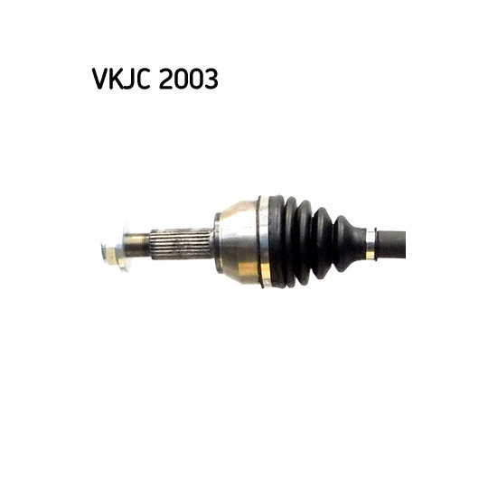 VKJC 2003 - Vetoakseli 