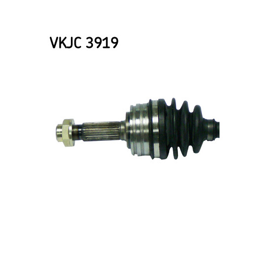 VKJC 3919 - Vetoakseli 