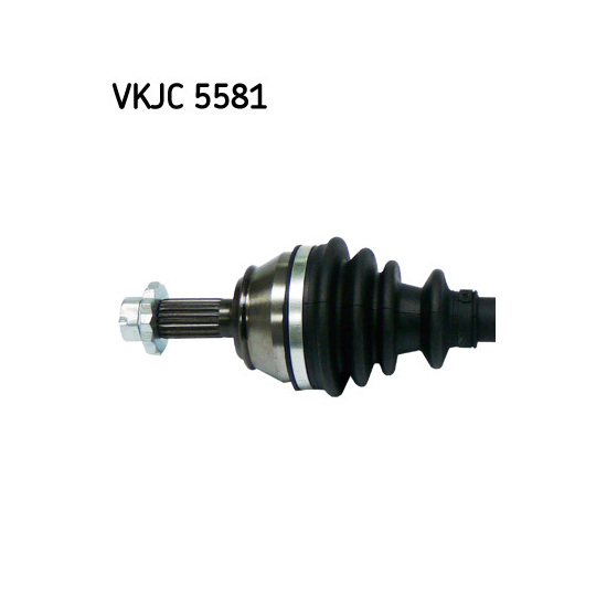 VKJC 5581 - Vetoakseli 
