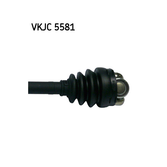 VKJC 5581 - Vetoakseli 
