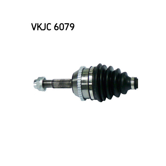 VKJC 6079 - Vetoakseli 