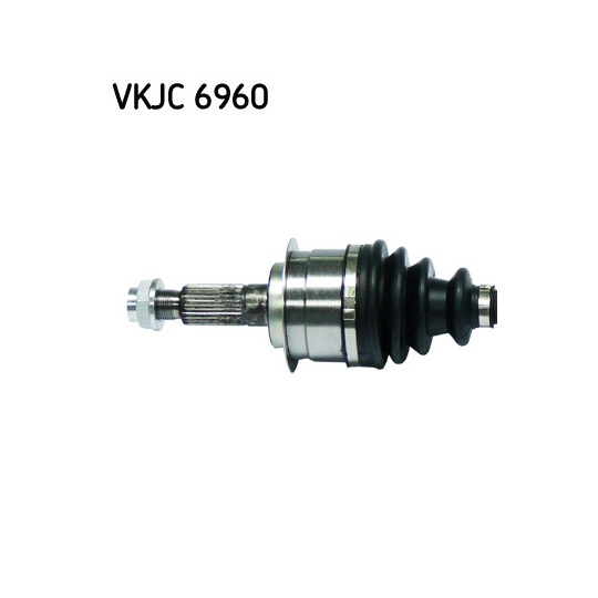 VKJC 6960 - Vetoakseli 