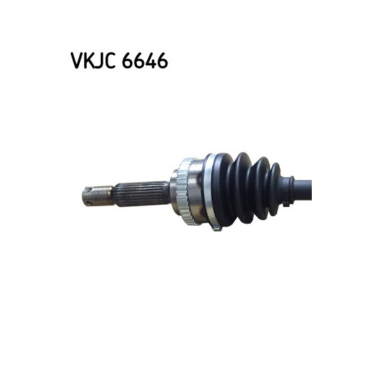 VKJC 6646 - Veovõll 