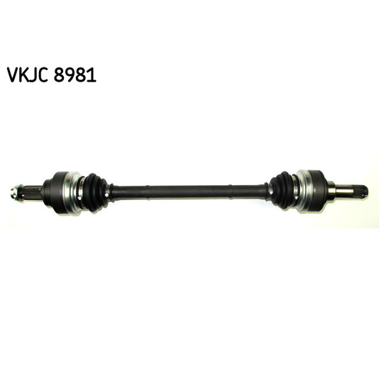 VKJC 8981 - Vetoakseli 