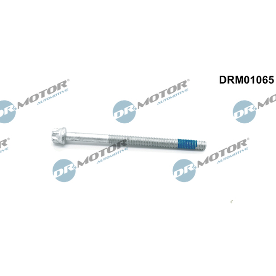 DRM01065 - Screw, injection nozzle holder 