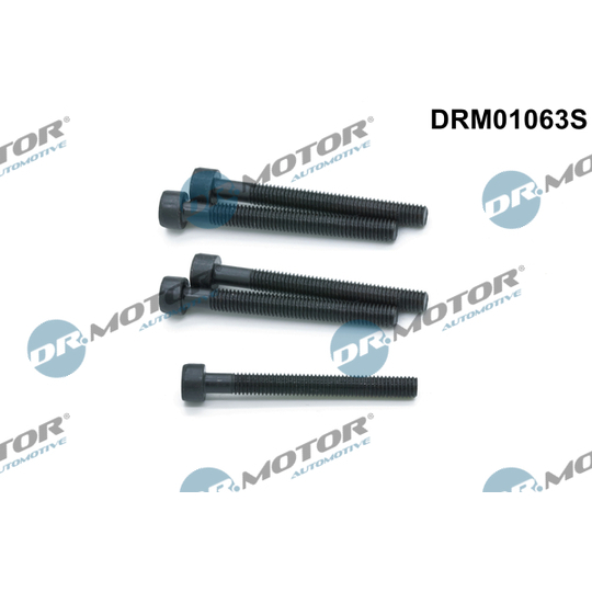 DRM01063S - Screw, injection nozzle holder 