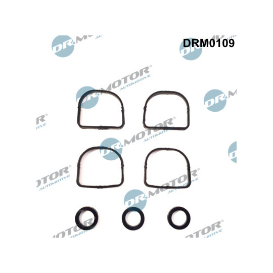 DRM0109 - Gasket Set, intake manifold 