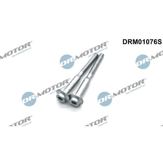 DRM01076S - Screw, injection nozzle holder 