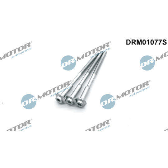 DRM01077S - Screw, injection nozzle holder 