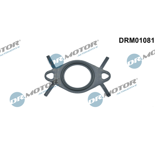 DRM01081 - Gasket, EGR valve pipe 