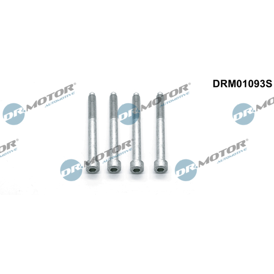 DRM01093S - Kruvi, sissepritsedüüsi kinnitus 