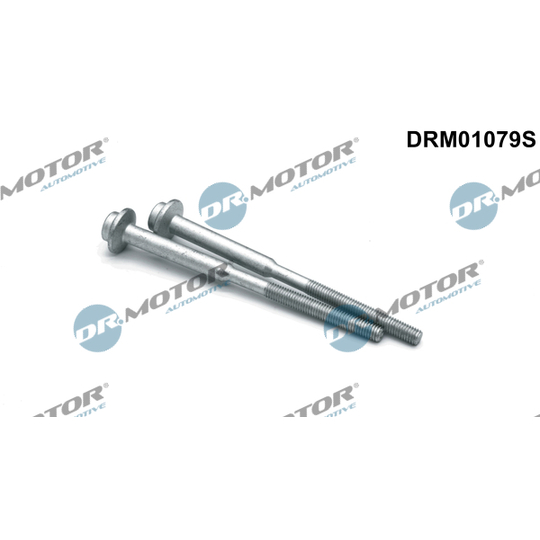 DRM01079S - Screw, injection nozzle holder 