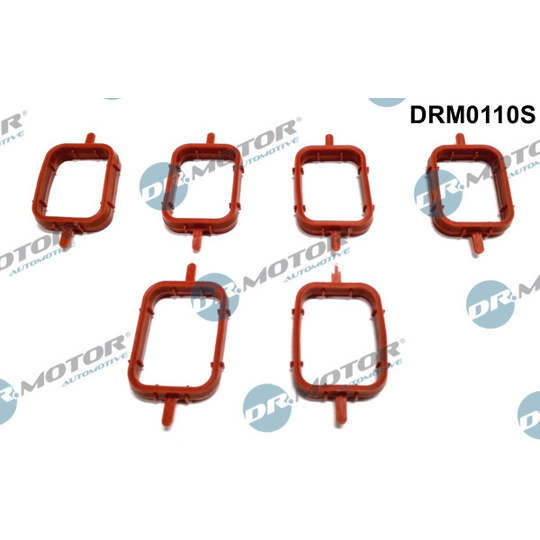 DRM0110S - Gasket Set, intake manifold 