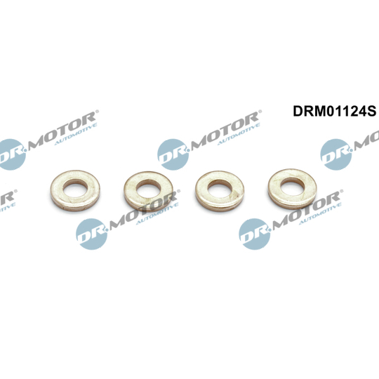 DRM01124S - Seal Kit, injector nozzle 
