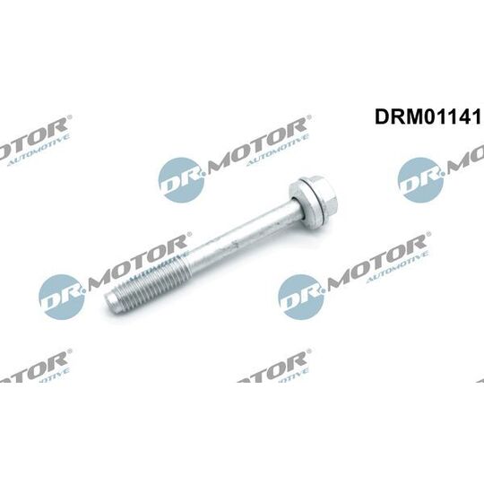 DRM01141 - Screw, injection nozzle holder 