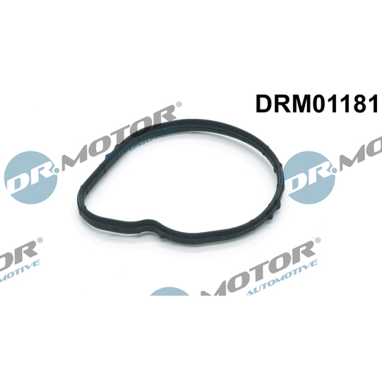 DRM01181 - Gasket, thermostat 