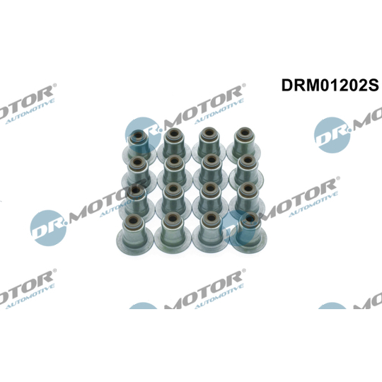 DRM01202S - Packningssats, ventiler 