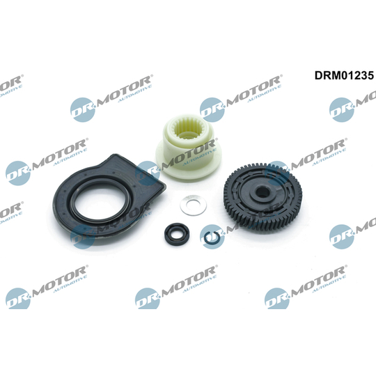 DRM01235 - Repair kit, transmission output shaft (AMT) 