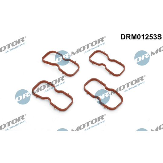 DRM01253S - Packningssats, insugsgrenrör 