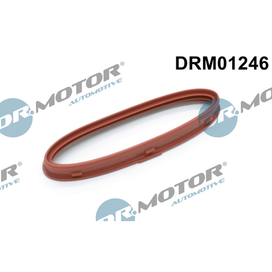 DRM01246 - Seal Ring, charger 