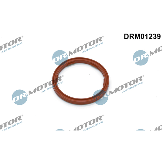 DRM01239 - Seal Ring, oil drain plug 