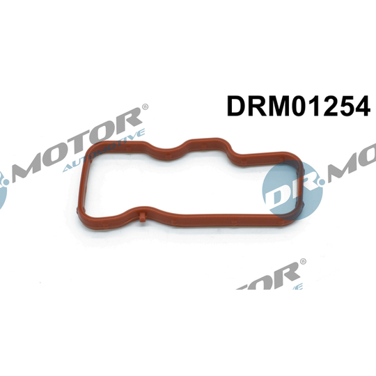 DRM01254 - Gasket, intake manifold 