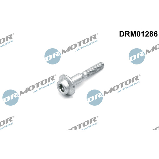 DRM01286 - Screw, injection nozzle holder 