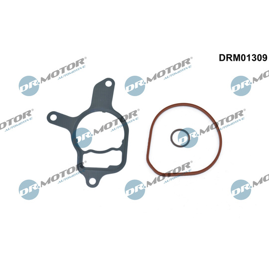 DRM01309 - Tihendikomplekt, vaakumpump 