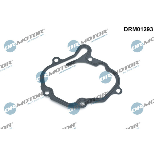 DRM01293 - Packning, vakuumpump 