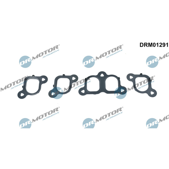 DRM01291 - Gasket Set, intake manifold 