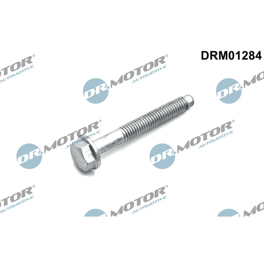 DRM01284 - Screw, injection nozzle holder 