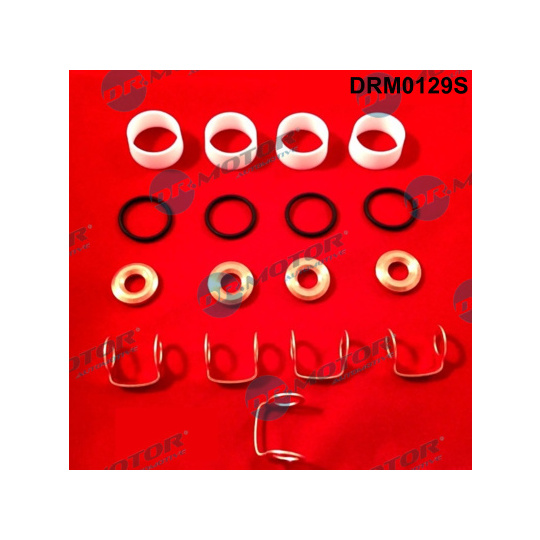 DRM0129S - Seal Kit, injector nozzle 