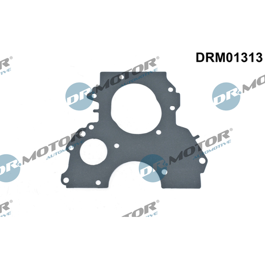 DRM01313 - Gasket, timing case 