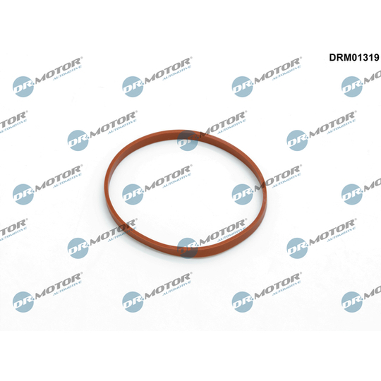 DRM01319 - Seal, throttle body 