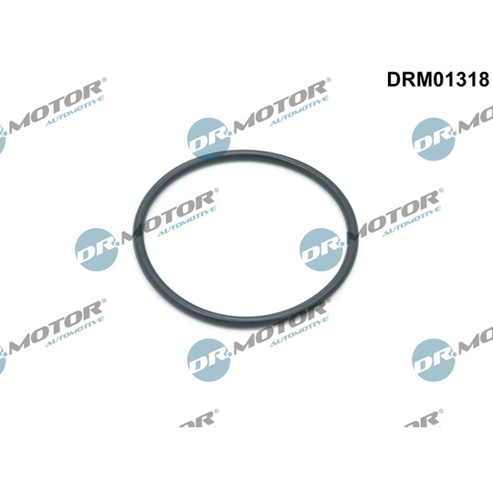 DRM01318 - Seal, oil filter housing 