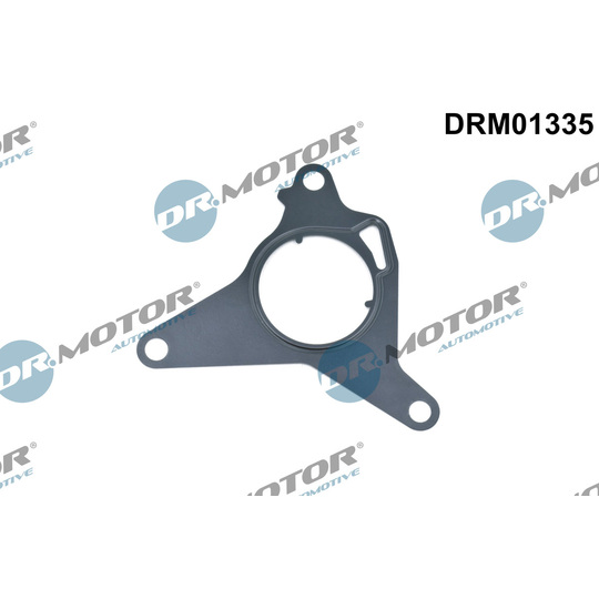 DRM01335 - Gasket, vacuum pump 