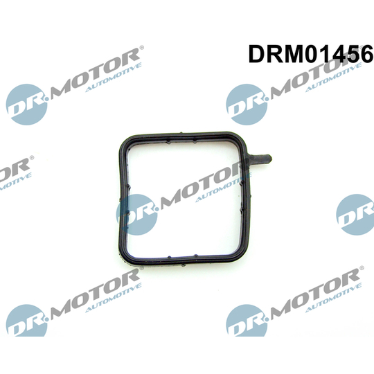 DRM01456 - Seal, coolant pipe 
