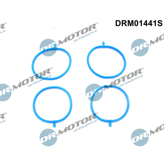 DRM01441S - Packningssats, insugsgrenrör 