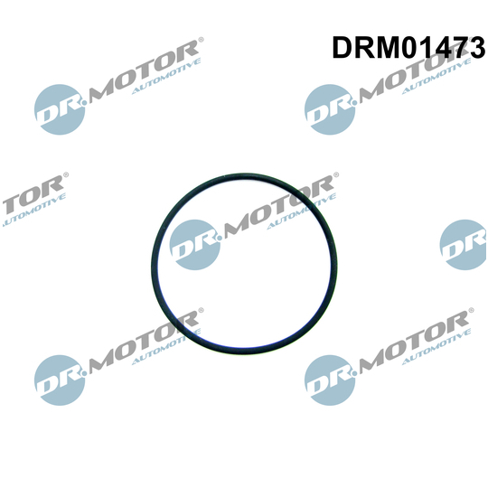 DRM01473 - Gasket, fuel pump 